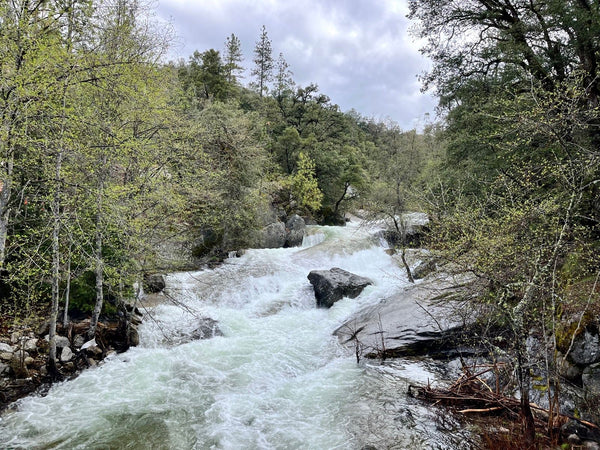 BASS LAKE TOUR (SHORT RIDE)